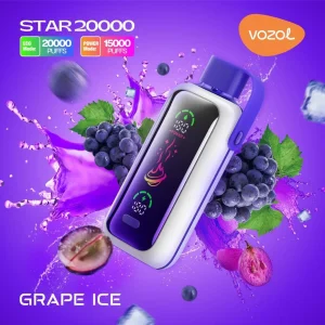 Vozol Vista 25000 Puffs Disposables Vape Grape Ice